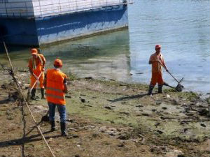 Tело мушкарца нађено на обали Дунава