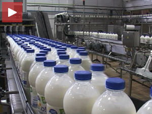 ЕУ укида квоте за производњу млека, српски млекари страхују