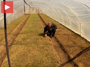 Произвођачима семена загарантован профит