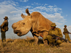 Последњи на свету