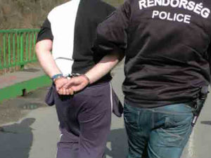 Мађари привели 291 имигранта