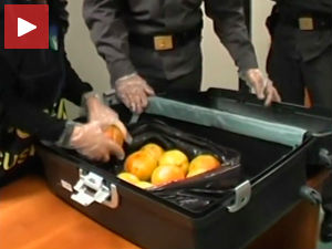 Најнеобичнија места за пренос шверцоване дроге