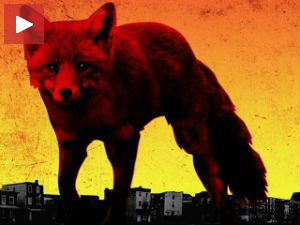 Нови албум „Продиџија“ оборио рекорд!