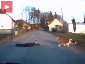 У Чешкој пси шетају власнике