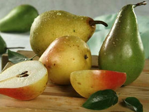 Спаљене пољске крушке у Русији које су биле означене као српске