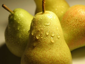 Крушке уништене због фалсификованих докумената 