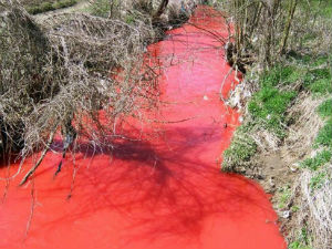 Ко је офарбао Кубршницу у црвено?