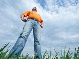 Како је Холандија постала земља дивова?