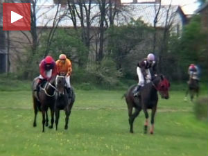 Иво Џима први, следили га Биг Брадер и Ноти Џек