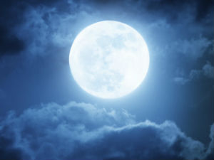 У Хрватској и Грчкој откривена „биљка вукодлак“