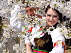 Српски Васкрс под трешњама у Вашингтону