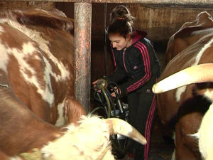 Помоћ за Јовану