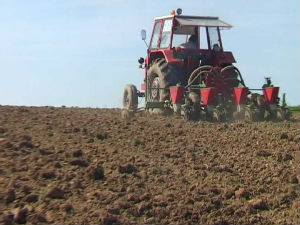 Касни пролећна сетва 