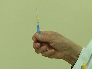 Епидемија малих богиња у Нишу 