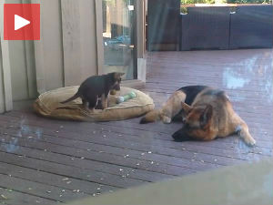 На спавање. Одмах! 