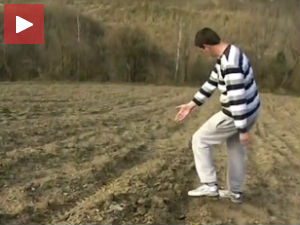 Кад нестану саднице малина