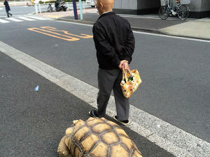 Кад вршњаци изађу у шетњу