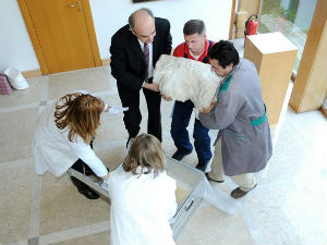 Уклањање Титове бисте најлошији потез Китаровићеве