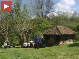 Бистрица, село воденица