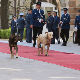 Сарајево, пси луталице предухитрили председника на црвеном тепиху