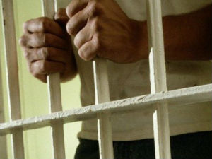 У затвор због крађе са далековода