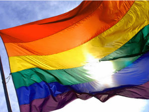 ЛГБТ организације потписале Платформу