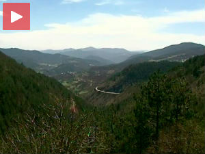 Чувајмо и обнављајмо шуме