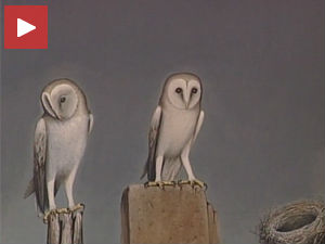 Сликар и орнитолог