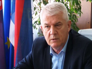 Васин: Министарка износи неистине о Жежељевом мосту