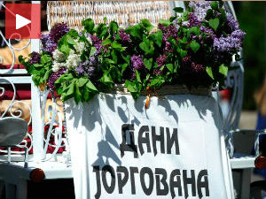 Београд „засут“ јоргованом