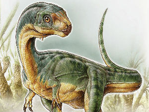 Чудни рођак Ти-рекса збуњује научнике