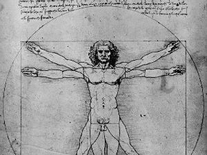 Културни кругови: Златни пресек