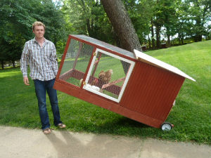 Нови бизнис у САД: Изнајмљивање кокошки!