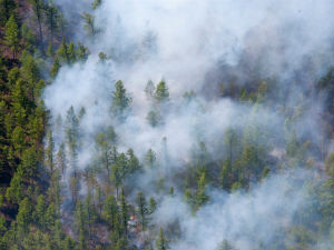 Пожар у близини нуклеарне електране Чернобиљ