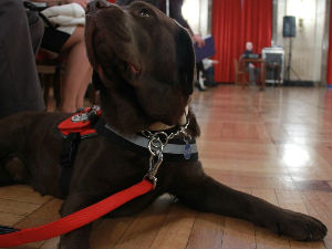 Представљен први пас водич за слепе у Србији