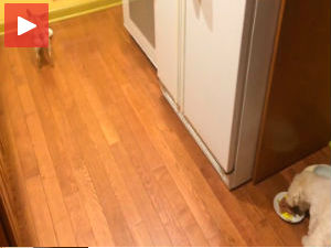 Лепше је у пару