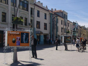 Чачак, разбијен принт слике Надежде Петровић 