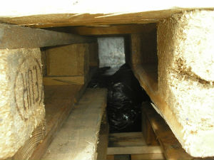 Пола тоне резаног дувана међу поморанџама