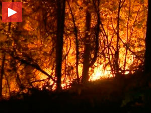 После пожара, нови еколошки проблем