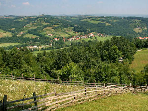 Занатска четврт, а нигде занатлија?!