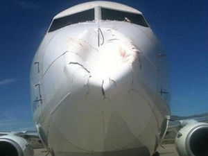 Зашто је јато птица ноћна мора сваког пилота