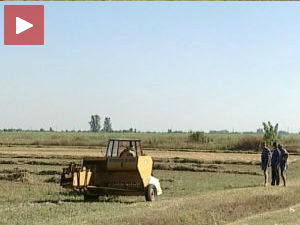 Подстицај за пољопривреду