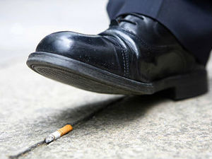 Париз, 68 евра за бачени пикавац