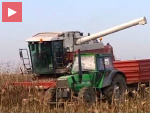 Будући род  залог за кредит