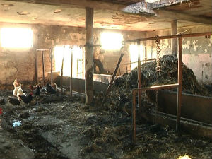 Шта након пожара