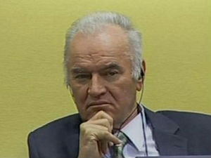 Тодоровић: Младићев "ађутант" самовољно стрељао