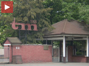 Отказ у фабрици "Тоза Марковић" због трудноће