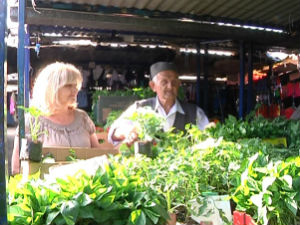 Шездесет година поред тезге