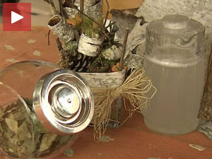 Сакупљање сока беле брезе