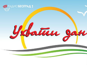 Ухвати дан